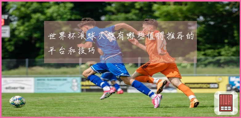 世界杯滚球买球有哪些值得推荐的平台和技巧