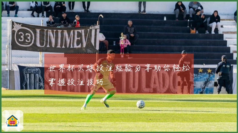 世界杯买球投注经验分享助你轻松掌握投注技巧