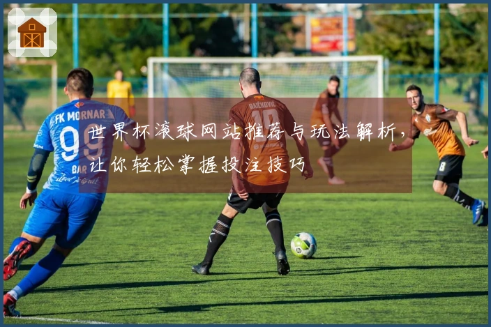 世界杯滚球网站推荐与玩法解析，让你轻松掌握投注技巧